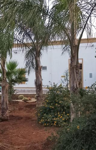 Foto Casa Vacanza L'Agrumeto 6