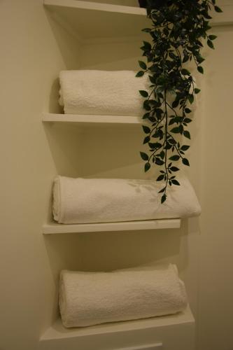Φωτογραφία από το άλμπουμ του Quiet Tiny Apartment στις Βερσαλλίες