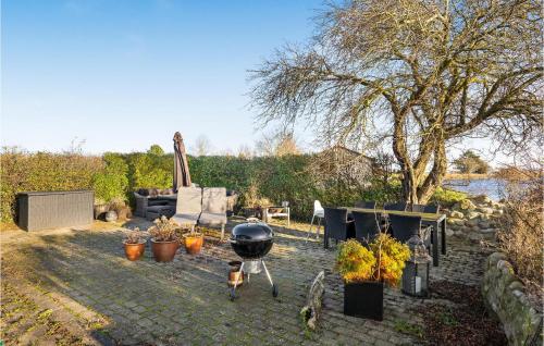 a backyard with a grill and potted plants at 2 Bedroom Amazing Home In Otterup in Otterup