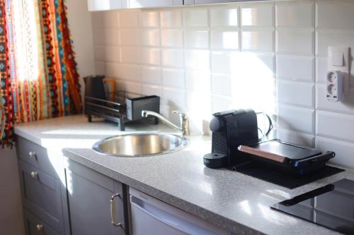 a kitchen counter with a sink and a toaster at Bracciera in Lipsoi