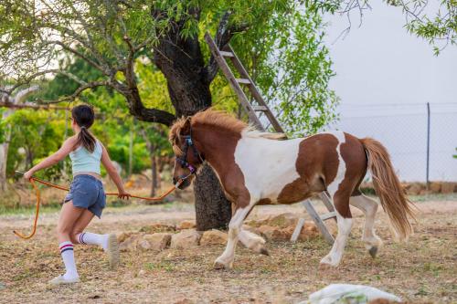 a girl is holding a horse with a rope at La Quinta da Liberdade - Ferme de charme en Algarve in Pechão