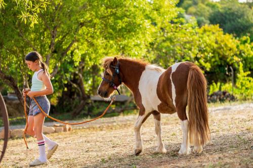 a young girl is walking a pony on a leash at La Quinta da Liberdade - Ferme de charme en Algarve in Pechão