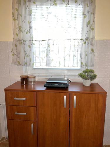 Kuchyň nebo kuchyňský kout v ubytování Apartman Rosić