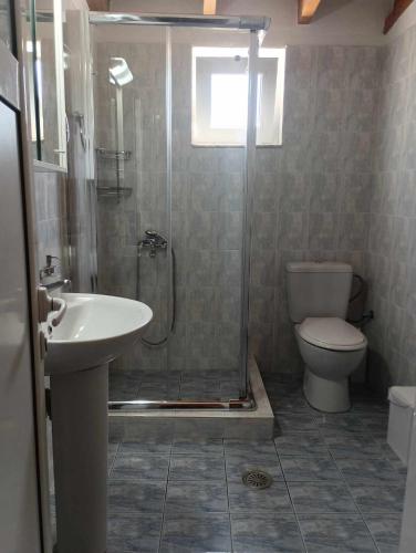 a bathroom with a shower and a toilet and a sink at La Casa Di Kokkines in Plytra