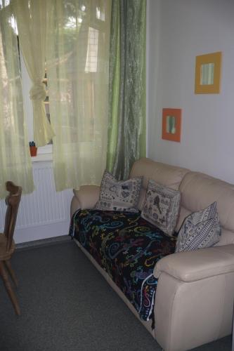 a couch in a living room with pillows on it at Tanzanit in Štúrovo