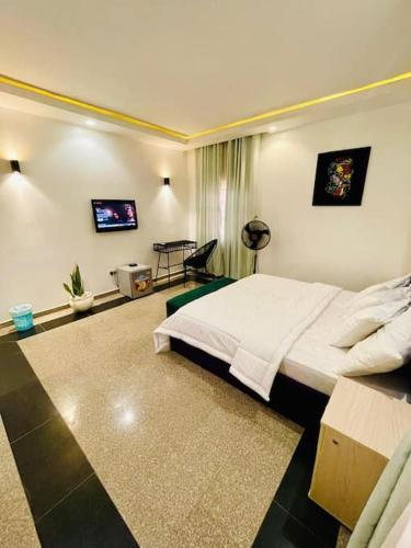 a bedroom with a bed and a television in it at Luxury Oasis 2 - Entire 2 Bedroom Apartment in Abuja with Pool, Gym, WiFi, Balcony, and Garden in Abuja