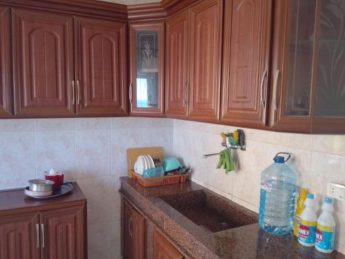 Η κουζίνα ή μικρή κουζίνα στο Saida FamilySeasideResort