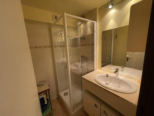 une salle de bain avec un lavabo et une douche dans l'établissement Studio agréable avec balcon SE, proximité pistes et commerces, 2é étage, animaux acceptés - FR-1-787-27, à Laveissière
