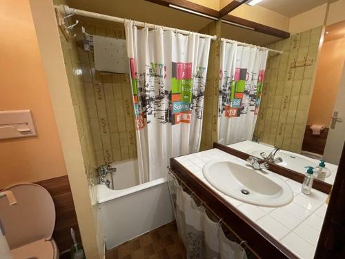 une salle de bain avec un lavabo et une douche dans l'établissement Charmant T2 cabine au pied des pistes - 4 pers - FR-1-787-32, à Laveissière