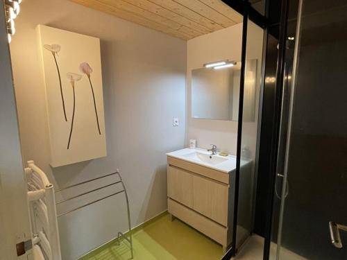 a bathroom with a sink and a mirror at Bel appartement duplex proche des pistes avec balcon et parking - FR-1-787-16 in Saint-Jacques-des-Blats