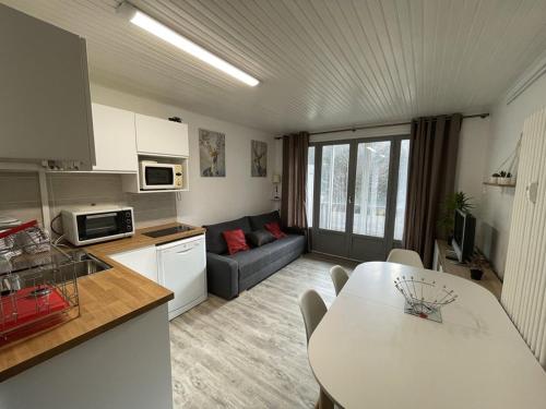 Studio cosy, balcon, parking, animaux OK, proche pistes - FR-1-787-17