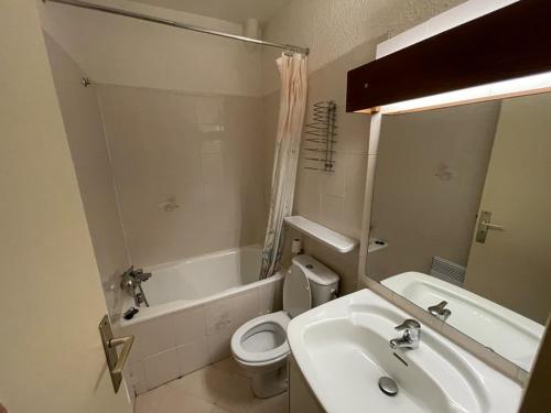 a bathroom with a sink and a toilet and a mirror at Agréable T2 au pied des pistes avec piscine estivale, parking, et animaux bienvenus - FR-1-787-31 in Laveissière
