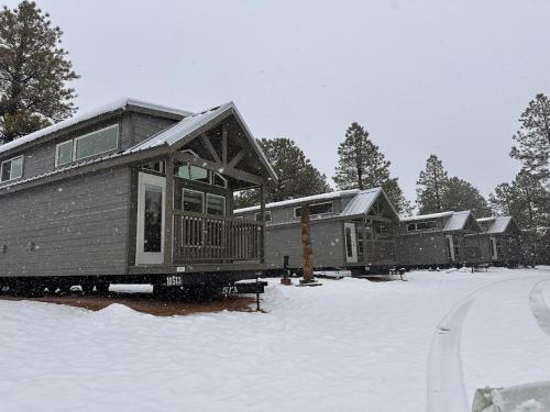 a row of modular homes in the snow at Cozy Cabins By Forest View 3B in Williams