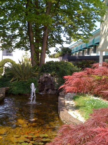 a dog standing in a pond in a garden at Hotel all'Orso in Biancade