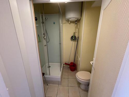 une salle de bain avec douche et toilettes dans l'établissement Studio fonctionnel aux pieds des pistes avec balcon et Wi-Fi, Laveissière - FR-1-787-64, à Laveissière