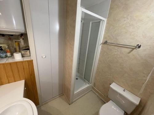 une salle de bain avec toilettes et douche dans l'établissement Studio 4 pers avec balcon, animaux admis et WiFi - FR-1-787-72, à Laveissière