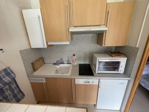une petite cuisine avec un évier et un micro-ondes dans l'établissement Studio 4 pers avec balcon, animaux admis et WiFi - FR-1-787-72, à Laveissière