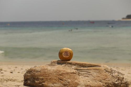 an orange sitting on top of a rock on the beach at La Bella - Hotel Villa & Spa in Gili Trawangan