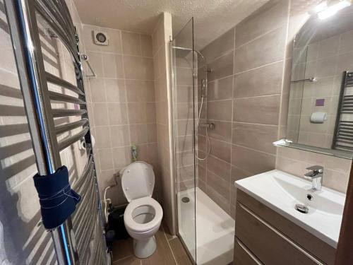 une salle de bain avec toilettes, lavabo et douche dans l'établissement Appartement rénové avec terrasse, proche des pistes et équipements complets - FR-1-593-113, aux Angles