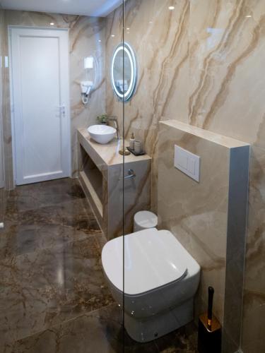 a bathroom with a toilet and a sink at Casa Cristian Wellness & Spa in Haţeg