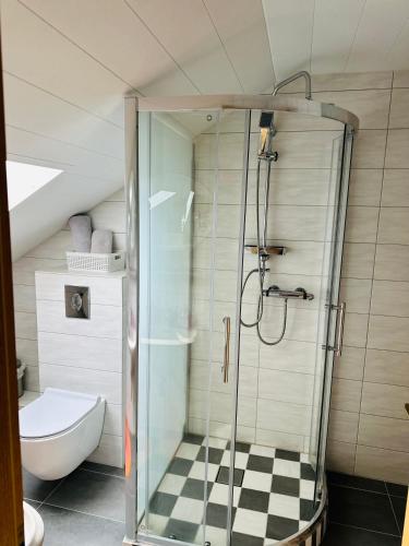a bathroom with a shower with a toilet and a sink at Haus zum Nöckel in Schalksmühle