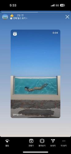 a picture of a person swimming in the water at Hygge Hotel in Seogwipo