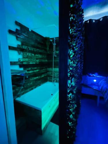 a room with a shower with a stone wall at Studio séance sur l'oreiller in Malmerspach