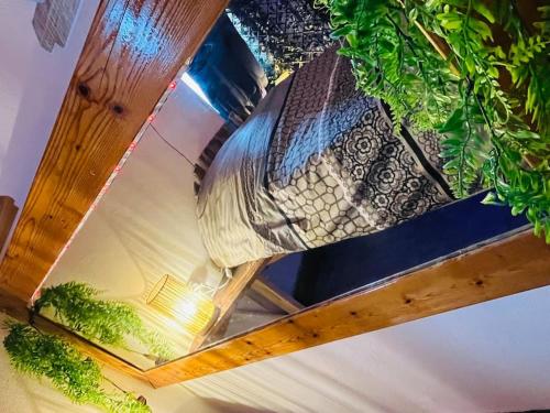 a ceiling with a bunch of potted plants on it at Studio séance sur l'oreiller in Malmerspach