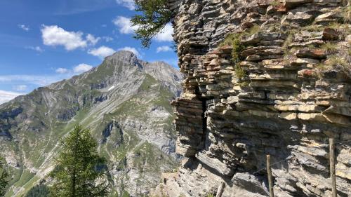 a view of a rocky mountain with a tree at Le Lézard et la Grenouille BnB in Ovronnaz