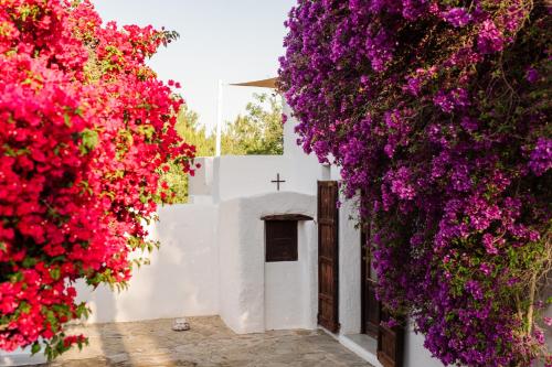 Κήπος έξω από το Casa la Vista