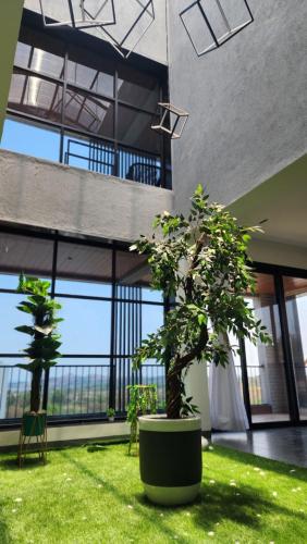a room with two potted trees in a building at Dolce Villa IGATPURI in Igatpuri