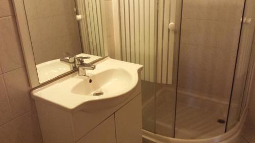 La salle de bains est pourvue d'un lavabo et d'une douche. dans l'établissement Kocsis Panzió és Étterem, à Komárom