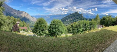 a grassy hill with trees and mountains in the background at Le Lézard et la Grenouille BnB in Ovronnaz