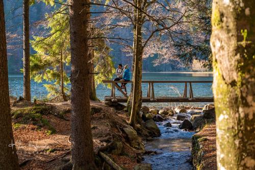 two people sitting on a bridge over a river at Berghof Almzeit - Fewo "Philosophenstüble", Sauna, Todtnauberg, Feldberg in Todtnau