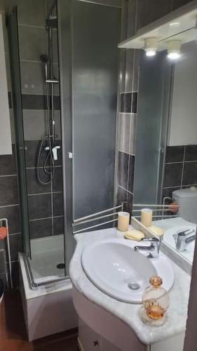 une salle de bain avec un lavabo et une douche dans l'établissement Appartement proche mer, au Barcarès