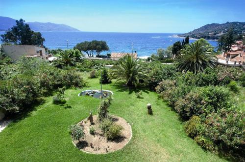un jardin avec un palmier et l'océan dans l'établissement Residence I Delfini, à Tiuccia