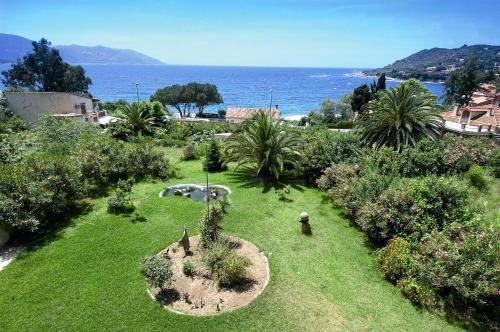 a garden with a palm tree and the ocean at Residence I Delfini in Tiuccia