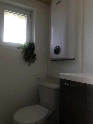La salle de bains est pourvue de toilettes et d'une fenêtre avec une plante. dans l'établissement Petite Maison - Penty le Ty Couz, à Le Trévoux