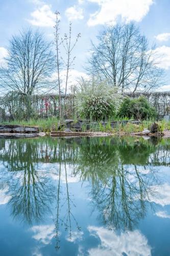 Fotografie z fotogalerie ubytování Landhaus in Stainz mit Whirlpool v destinaci Kothvogel