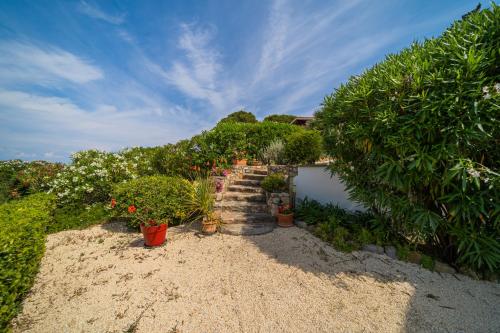 Gallery image of Villasoledad appartamenti per vacanze in Capoliveri