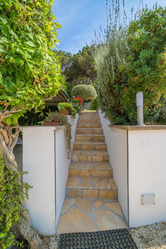 Gallery image of Villasoledad appartamenti per vacanze in Capoliveri