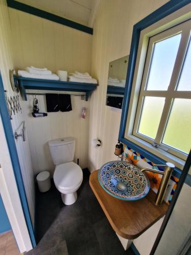 a small bathroom with a toilet and a sink at Wild Meadow Huts in Doolin
