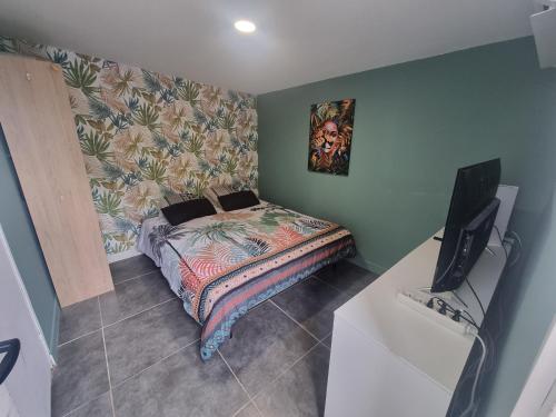 a bedroom with a bed and a tv in it at Maison avec piscine chauffée, jacuzzi et sauna 6 chambres in Saint-Paul