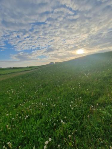 a field of green grass with the sun in the background at Wild Meadow Huts in Doolin