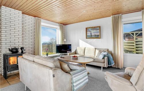 a living room with couches and a table and a fireplace at 3 Bedroom Cozy Home In Aabenraa in Aabenraa