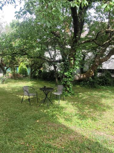 two chairs and a table under a tree at AZTA central Apartments in Hévíz
