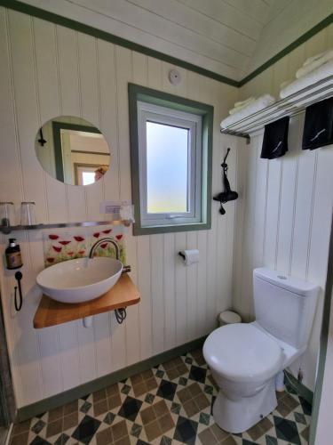 a bathroom with a sink and a toilet at Wild Meadow Huts in Doolin