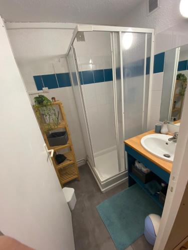 une salle de bain avec douche et lavabo dans l'établissement ArriuMage, à Bielle