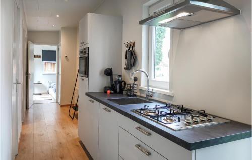 Dapur atau dapur kecil di Lovely Home In Heinkenszand
