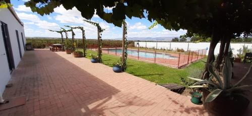 a brick walkway with trees and a swimming pool at Farmhouse Guestrooms in Calitzdorp